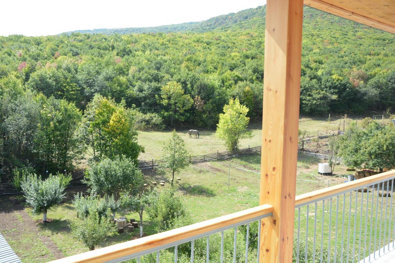 Vardeni Guesthouse Hrazdan Kültér fotó